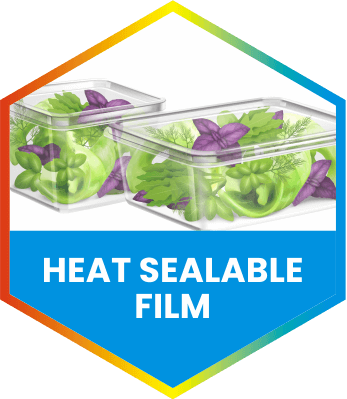 Heat Sealable Film